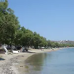 Zampeta