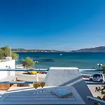 Zampeta