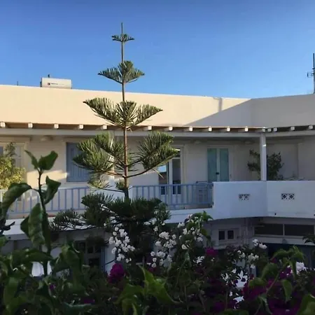 Zampeta 4* آداماس