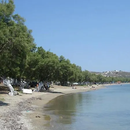 Zampeta